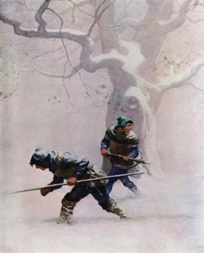 Illustrazione per La Freccia Nera di Robert Louis Stevenson da Newell Convers Wyeth